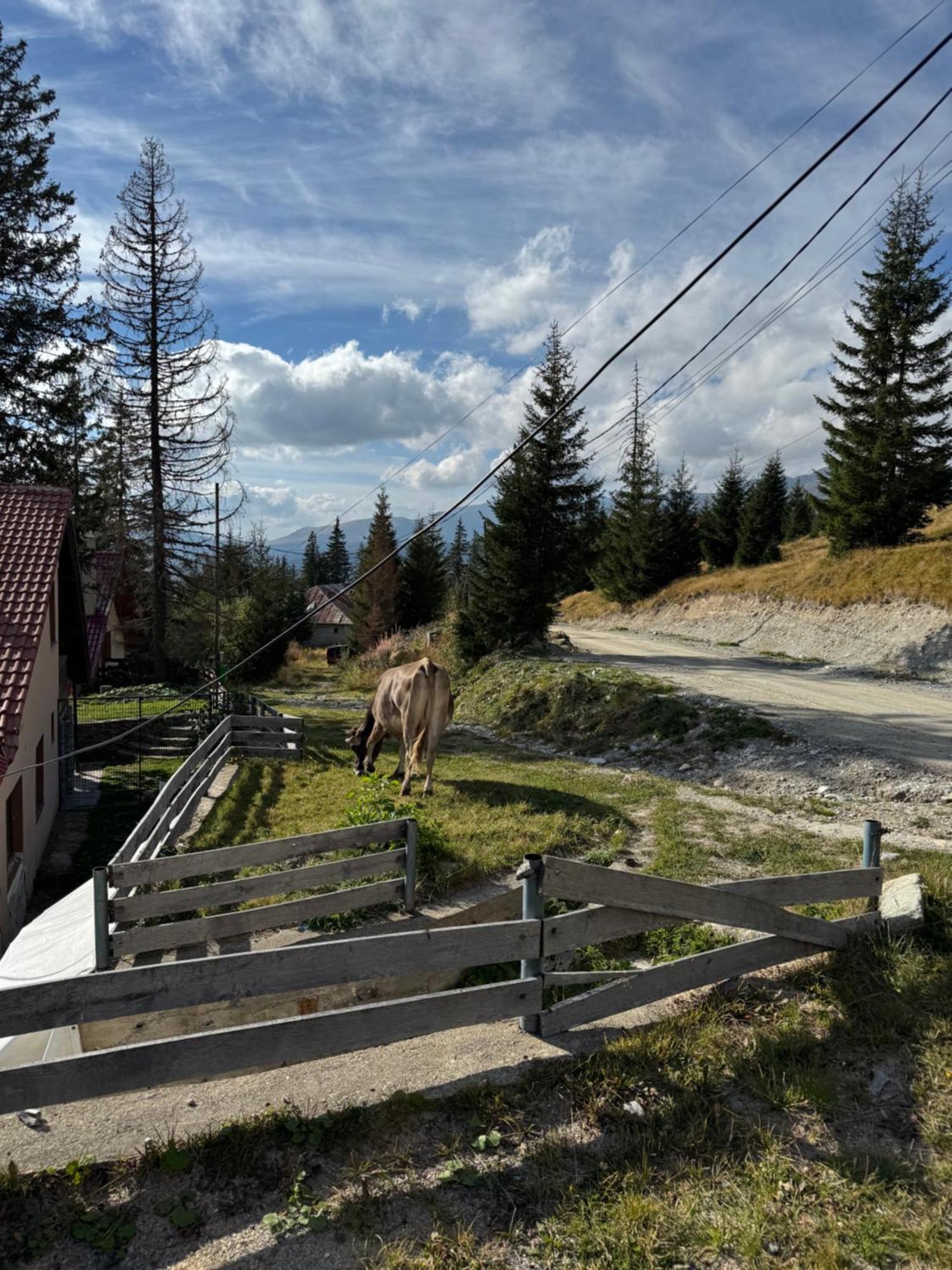 Casa Hai La Ranca Exteriör bild